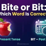 bite or bit