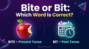 bite or bit