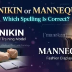 manikin or mannequin